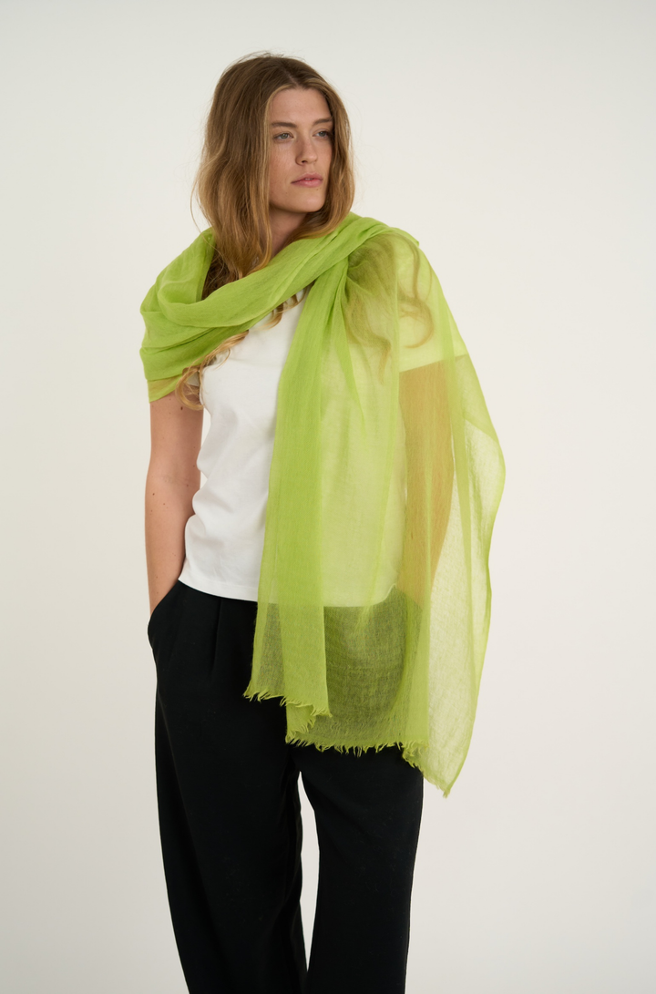 Quiet Luxury Grape Green