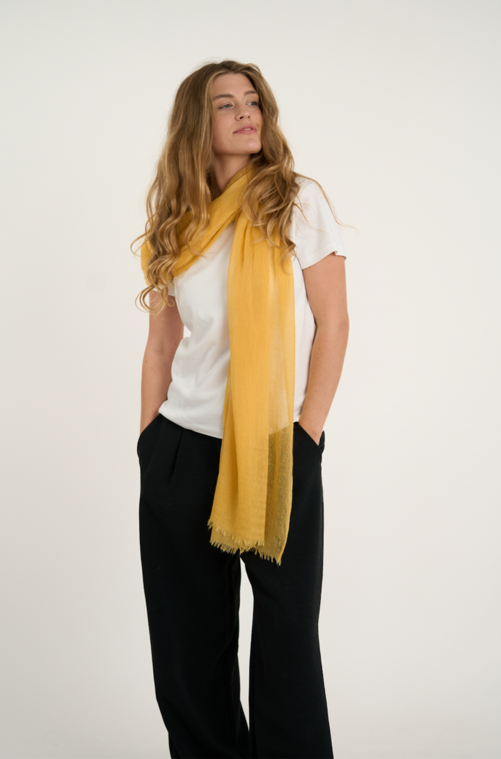 Quiet Luxury Cornsilk